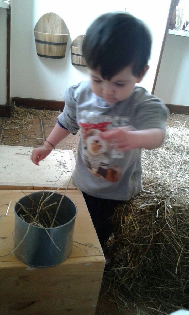 WhatsApp Image 2016-03-02 at 14.15.25.jpeg