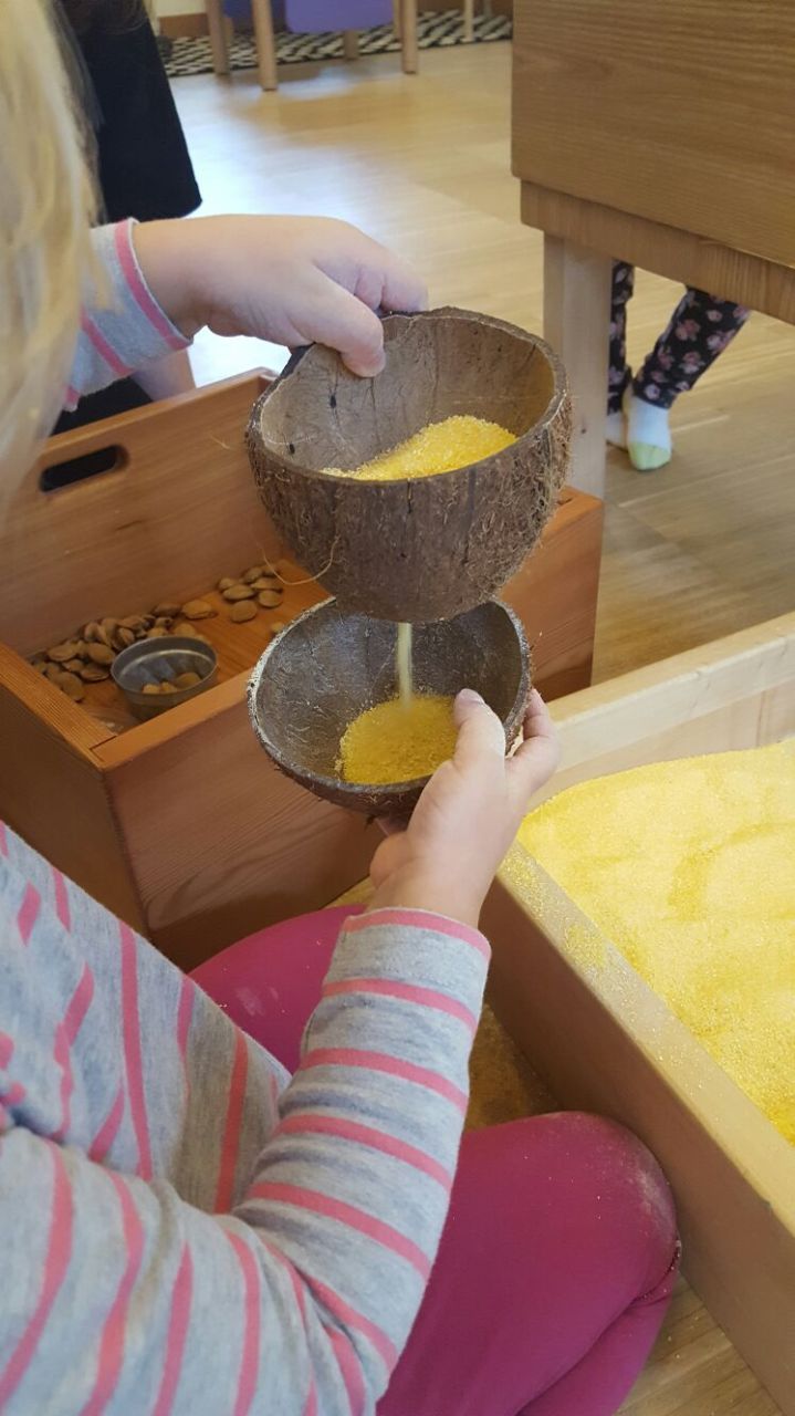 WhatsApp Image 2016-11-15 at 12.55.00.jpeg