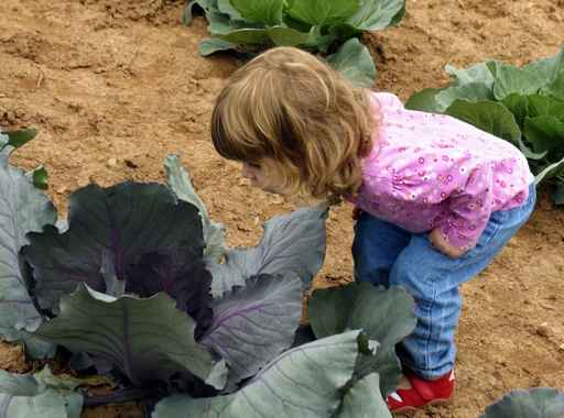 child in cabbage patch